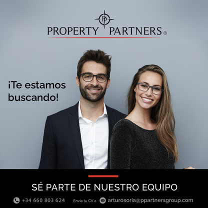 Búsqueda de Partners